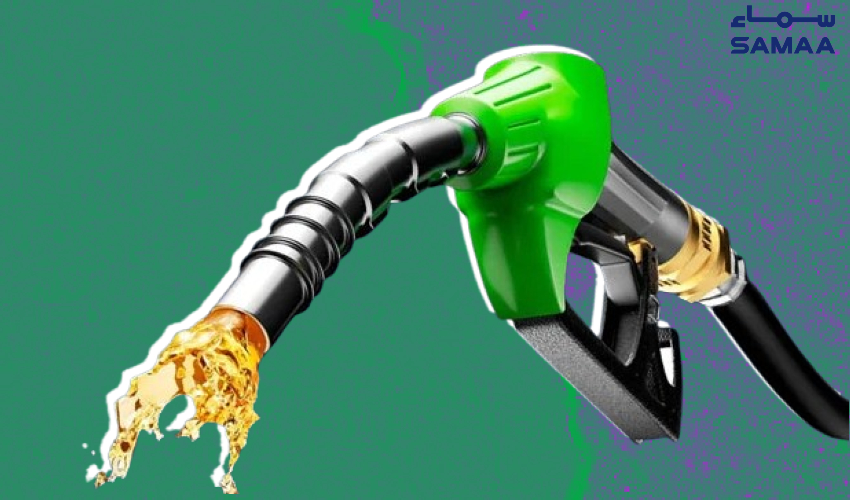 ‘Rise in petroleum prices was unavoidable amid IMF commitments’