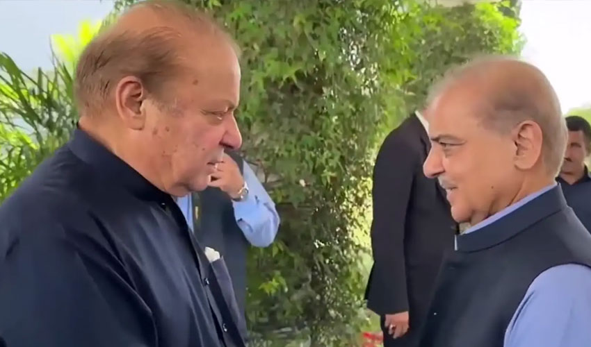 Nawaz pushes for public relief in huddle with PM Shehbaz