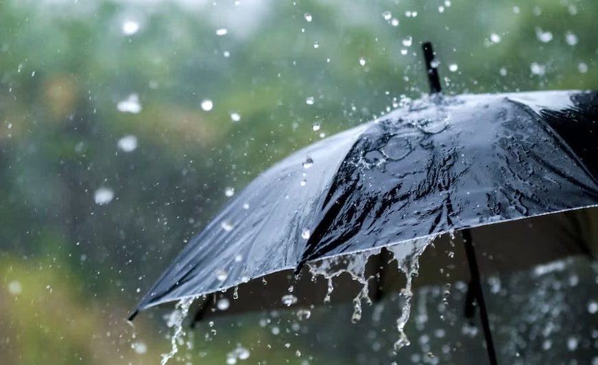 New spell of rains in Punjab; thunderstorms and hailstorms forecast until June 20.